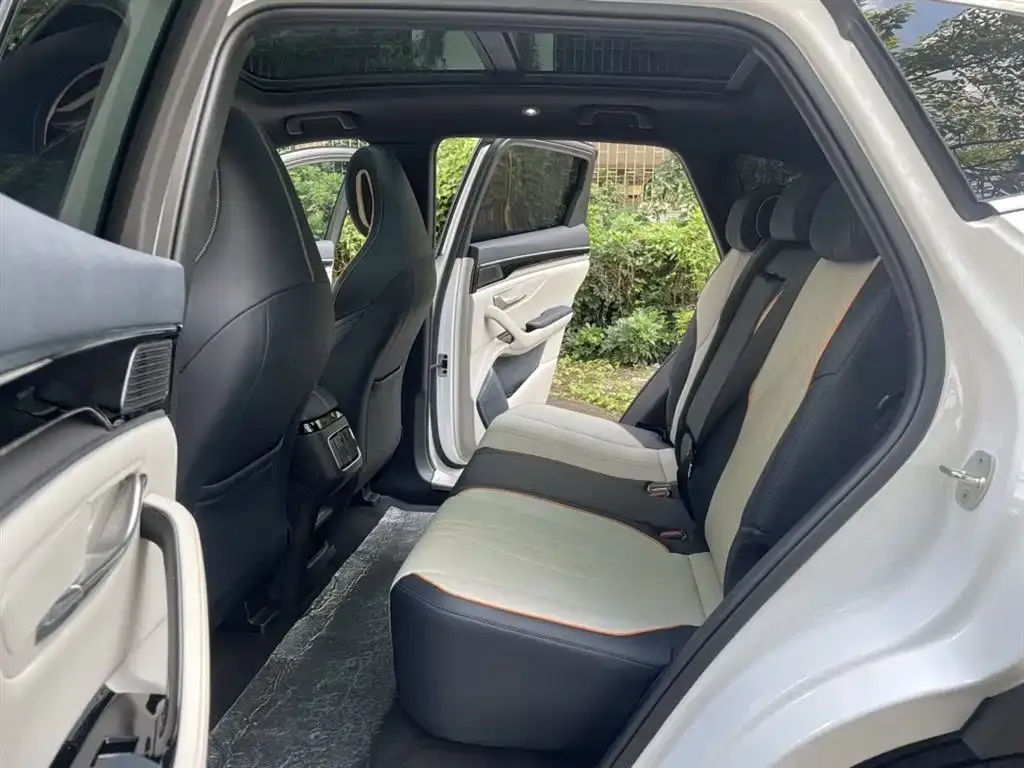 BYD PLUS New Energy 2022 из CN, фото 10