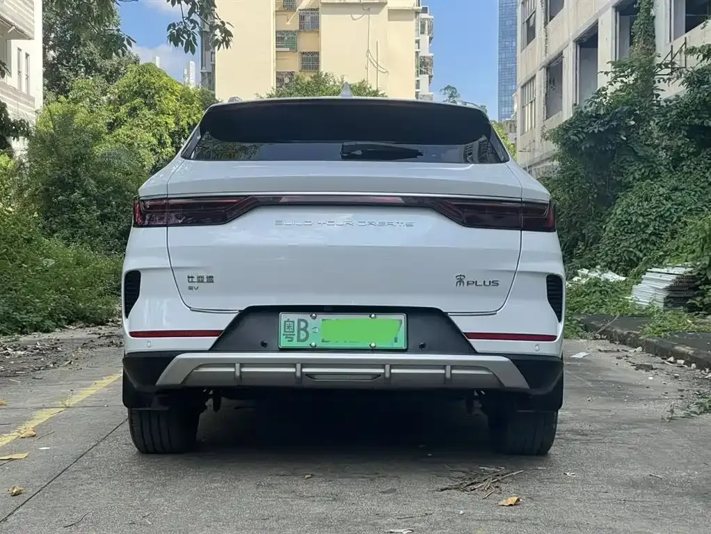 BYD PLUS New Energy 2022 из CN, фото 4