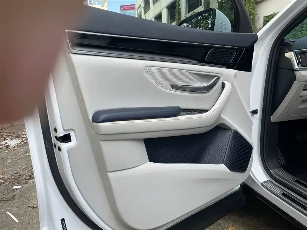 BYD PLUS New Energy 2022 из CN, фото 9