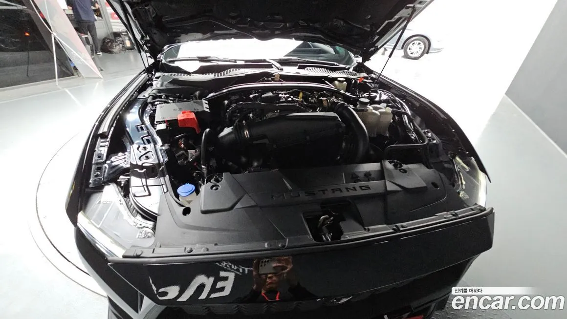 Ford Mustang 2024 из KR, фото 6