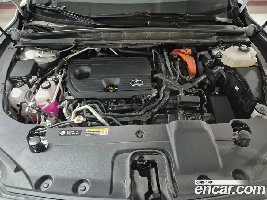 Lexus RX 2024 из KR, фото 6