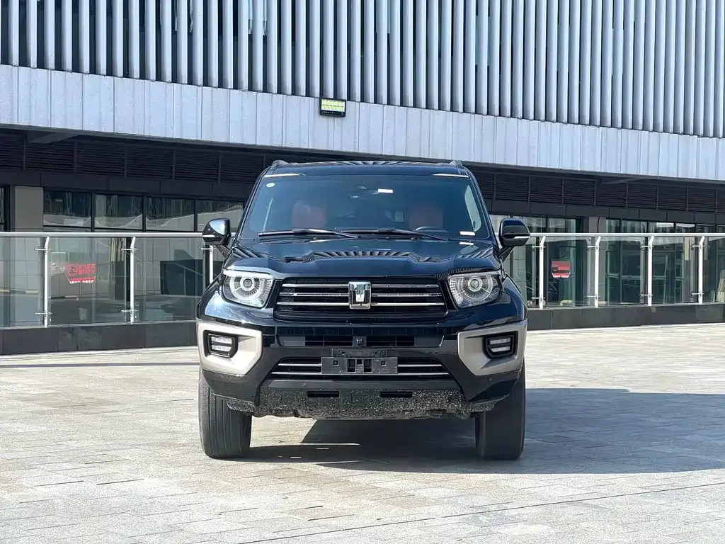 Tank 700 New Energy 2024 из CN, фото 2