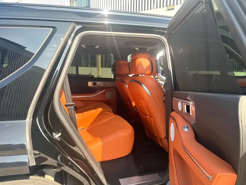 Tank 700 New Energy 2024 из CN, фото 6