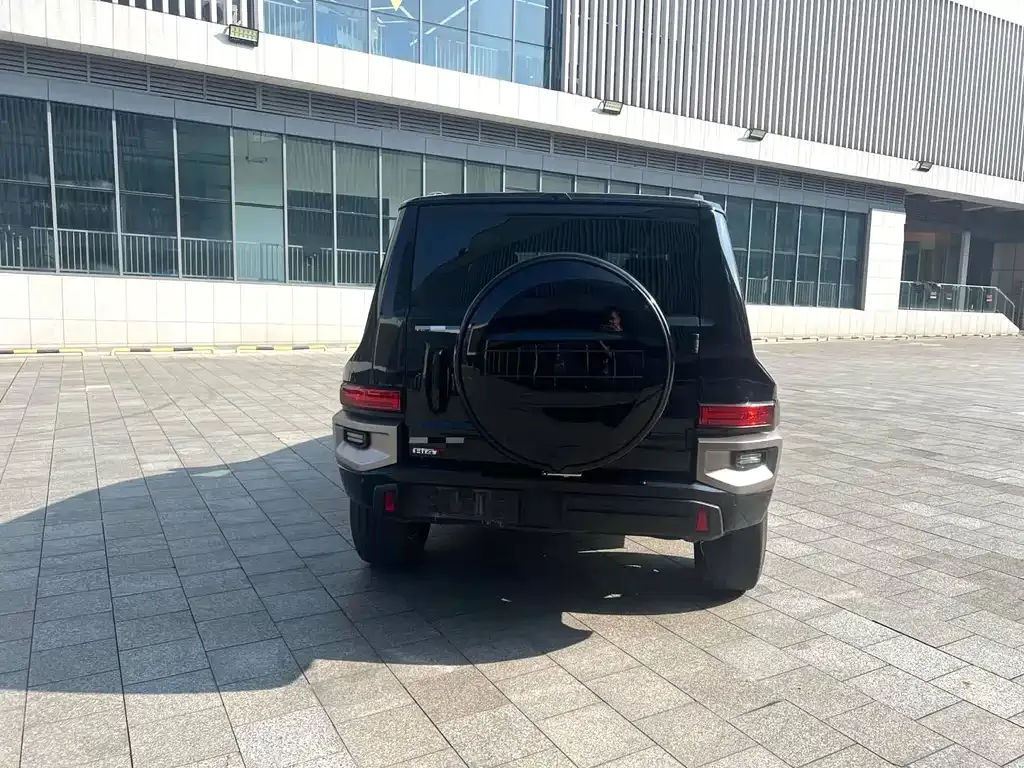 Tank 700 New Energy 2024 из CN, фото 8