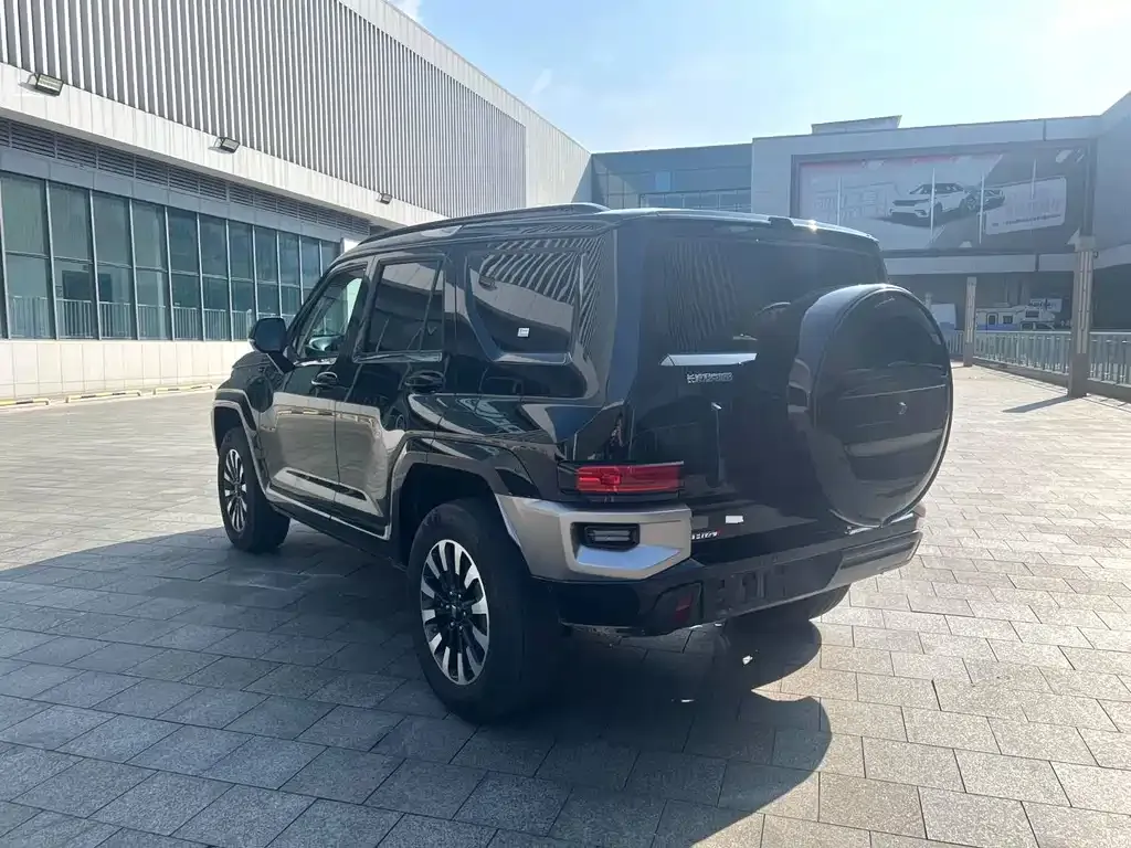 Tank 700 New Energy 2024 из CN, фото 9