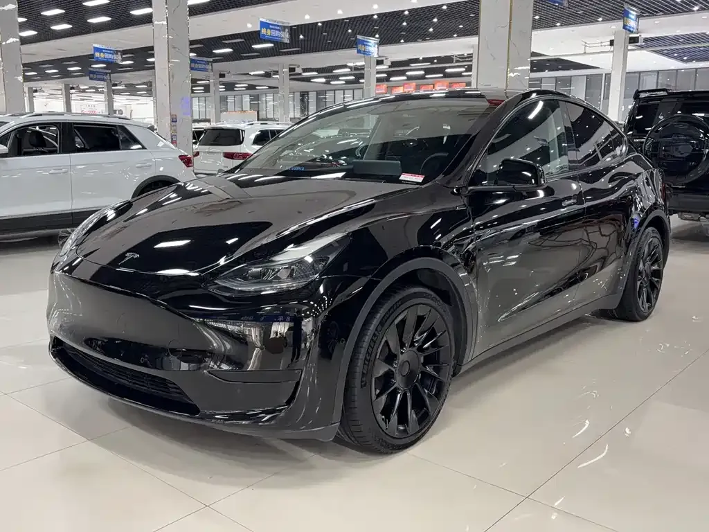 Tesla Model Y 2022 из CN, фото 1