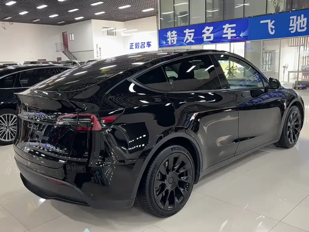 Tesla Model Y 2022 из CN, фото 4