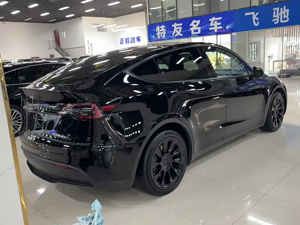 Tesla Model Y 2022 из CN, фото 5