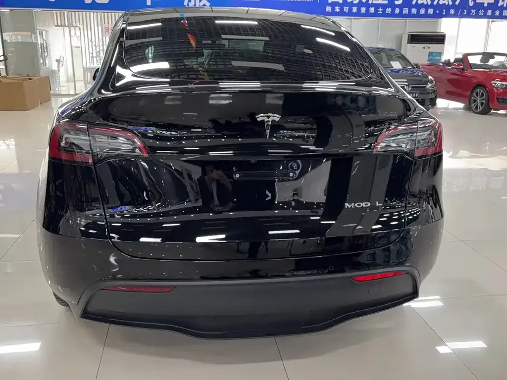 Tesla Model Y 2022 из CN, фото 6