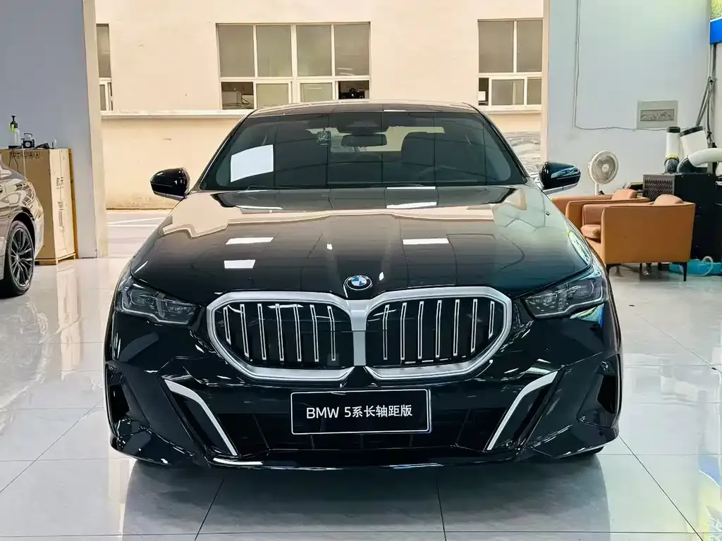 BMW 5 Series 2024 из CN, фото 2