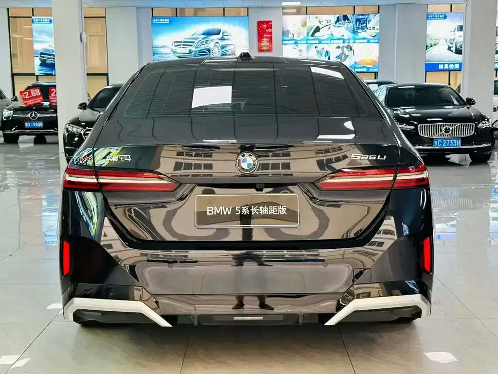 BMW 5 Series 2024 из CN, фото 7