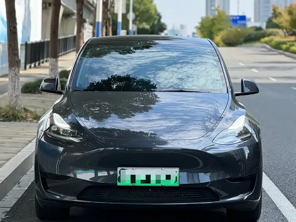 Tesla Model Y 2024 из CN, фото 2