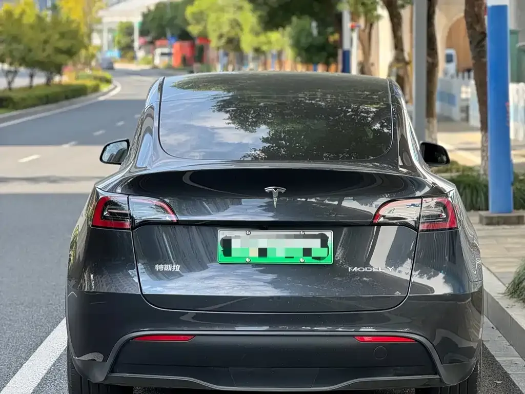 Tesla Model Y 2024 из CN, фото 3