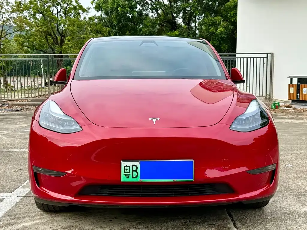 Tesla Model Y 2023 из CN, фото 2