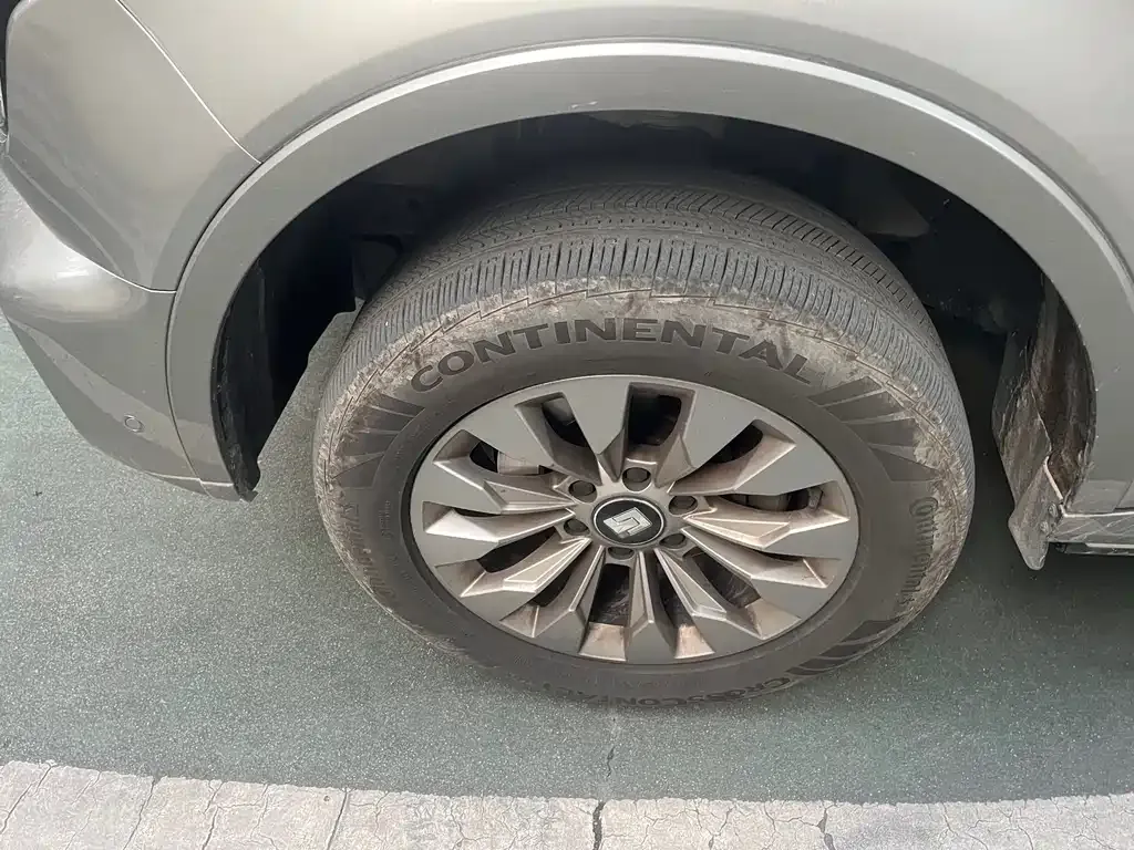 Tank 500 New Energy 2024 из CN, фото 5