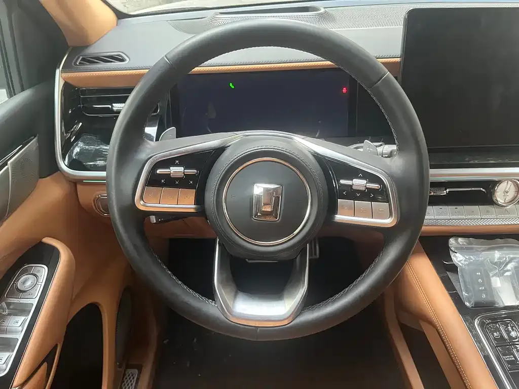 Tank 500 New Energy 2024 из CN, фото 9