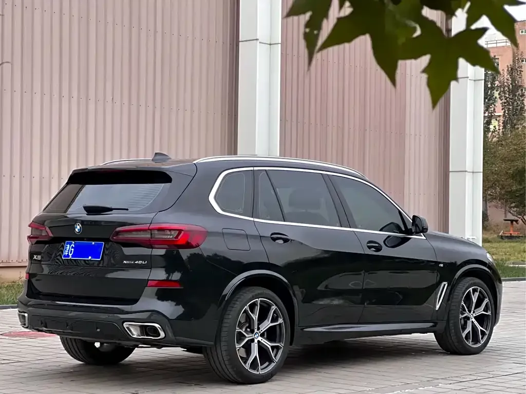 BMW X5 — фото 3