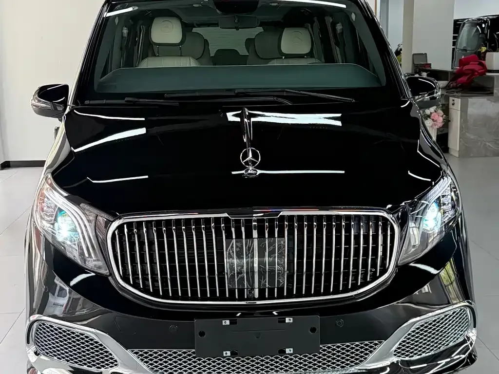 Mercedes-Benz Vito 2021 из CN, фото 2