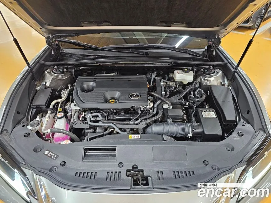 Lexus ES 2025 из KR, фото 6