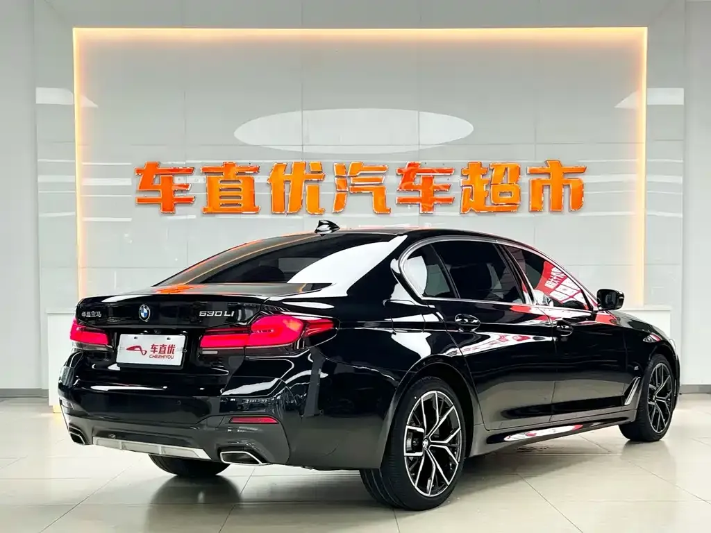 BMW 5 Series 2022 из CN, фото 5