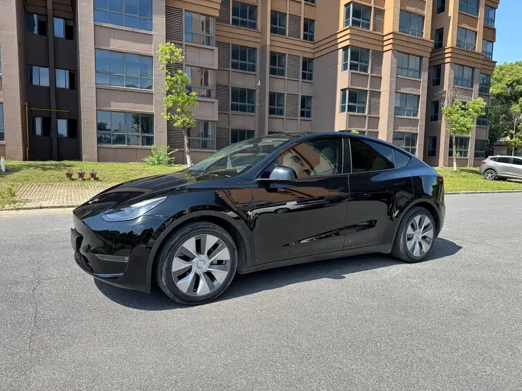 Tesla Model Y 2021 из CN, фото 1