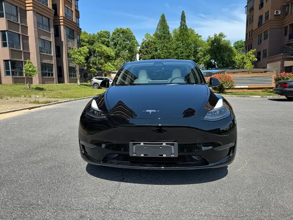 Tesla Model Y 2021 из CN, фото 2