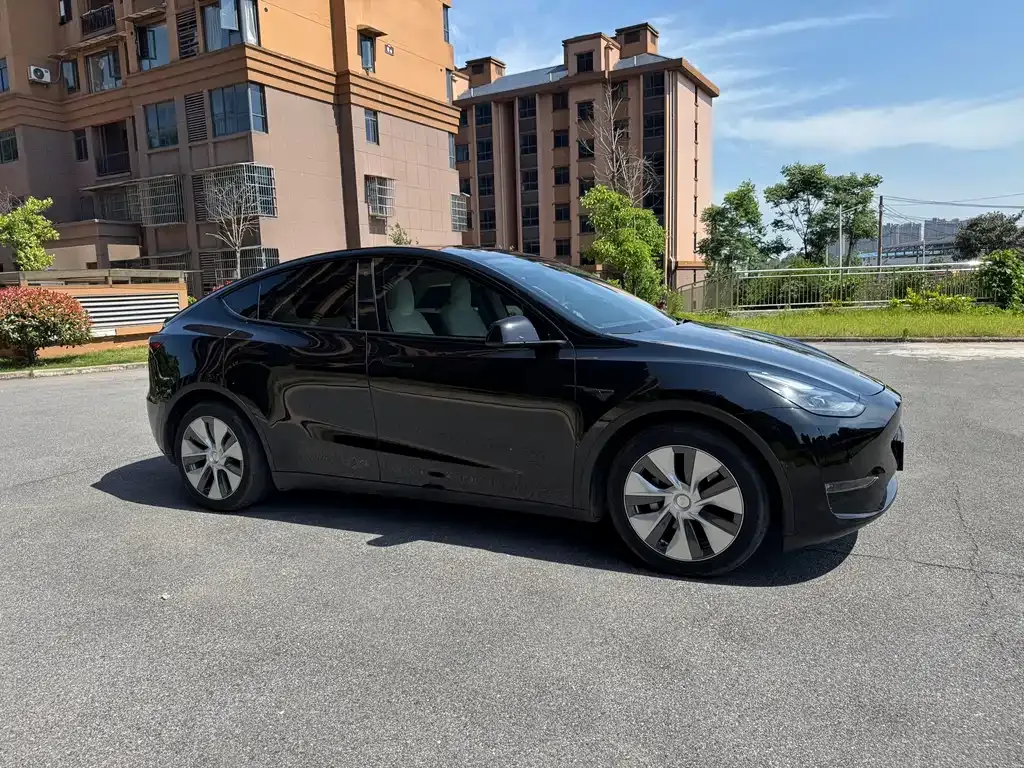 Tesla Model Y 2021 из CN, фото 3