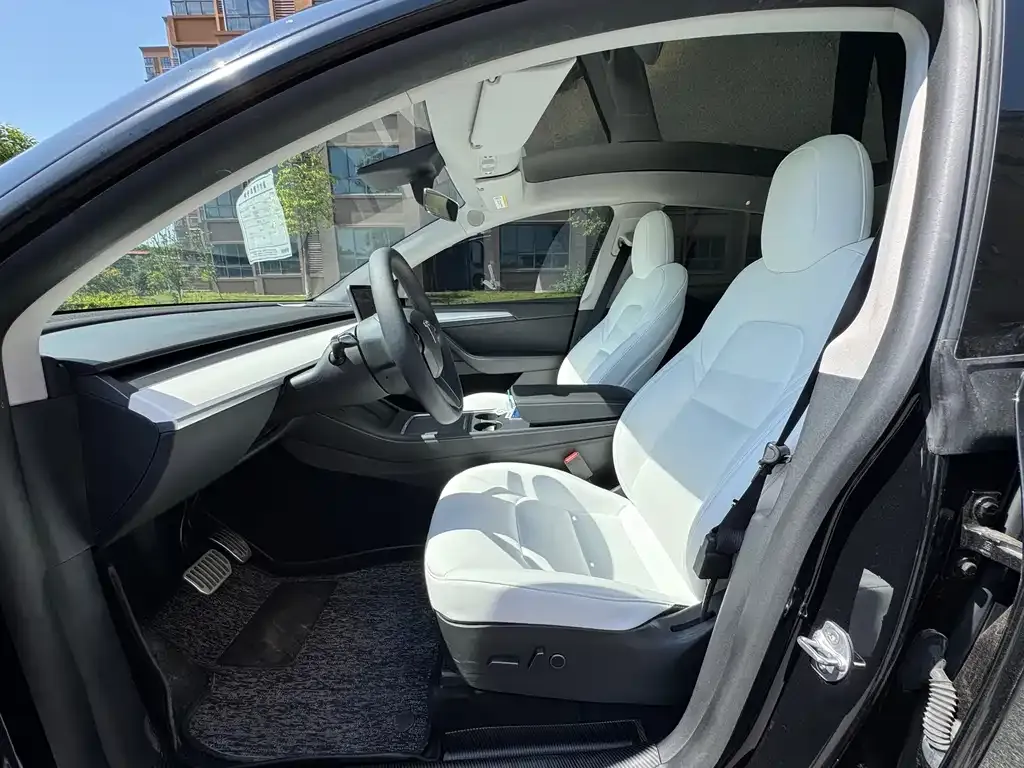 Tesla Model Y 2021 из CN, фото 4