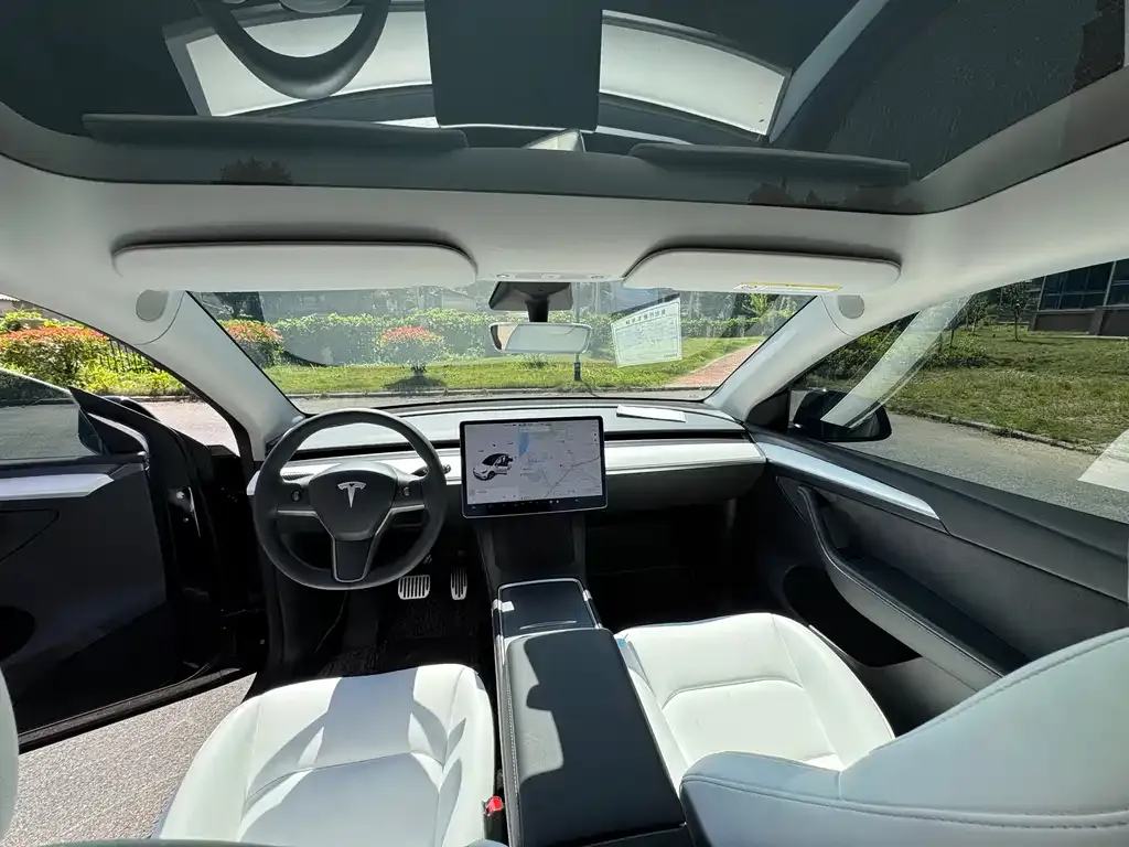 Tesla Model Y 2021 из CN, фото 6