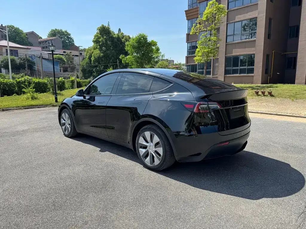 Tesla Model Y 2021 из CN, фото 7