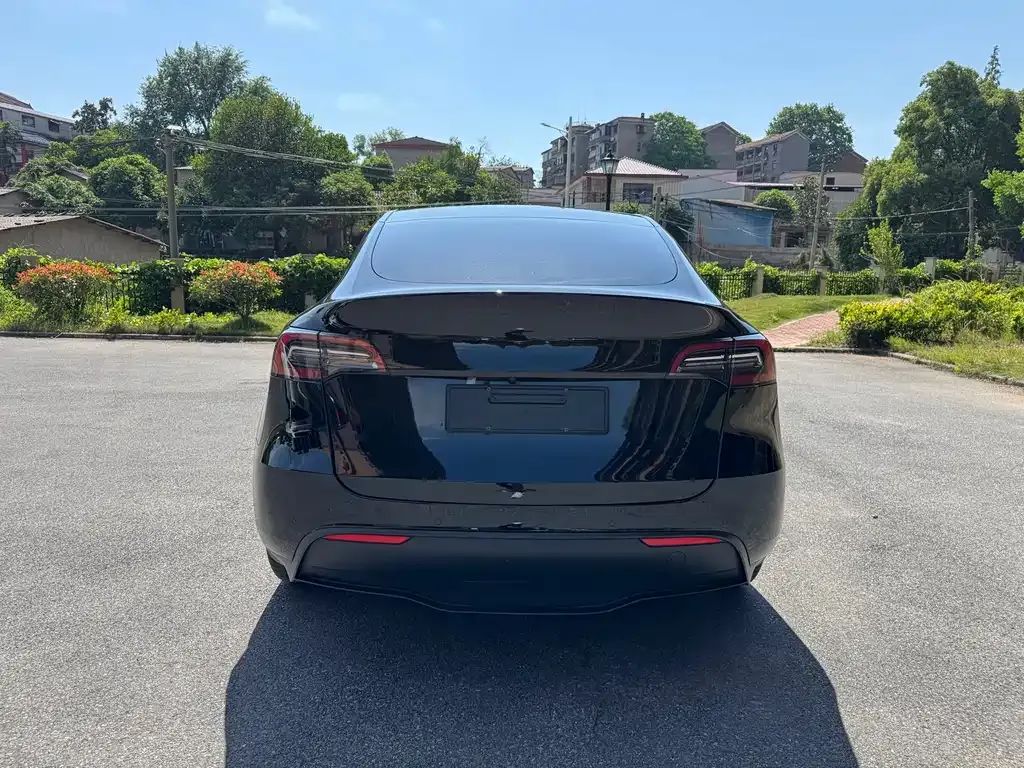 Tesla Model Y 2021 из CN, фото 8