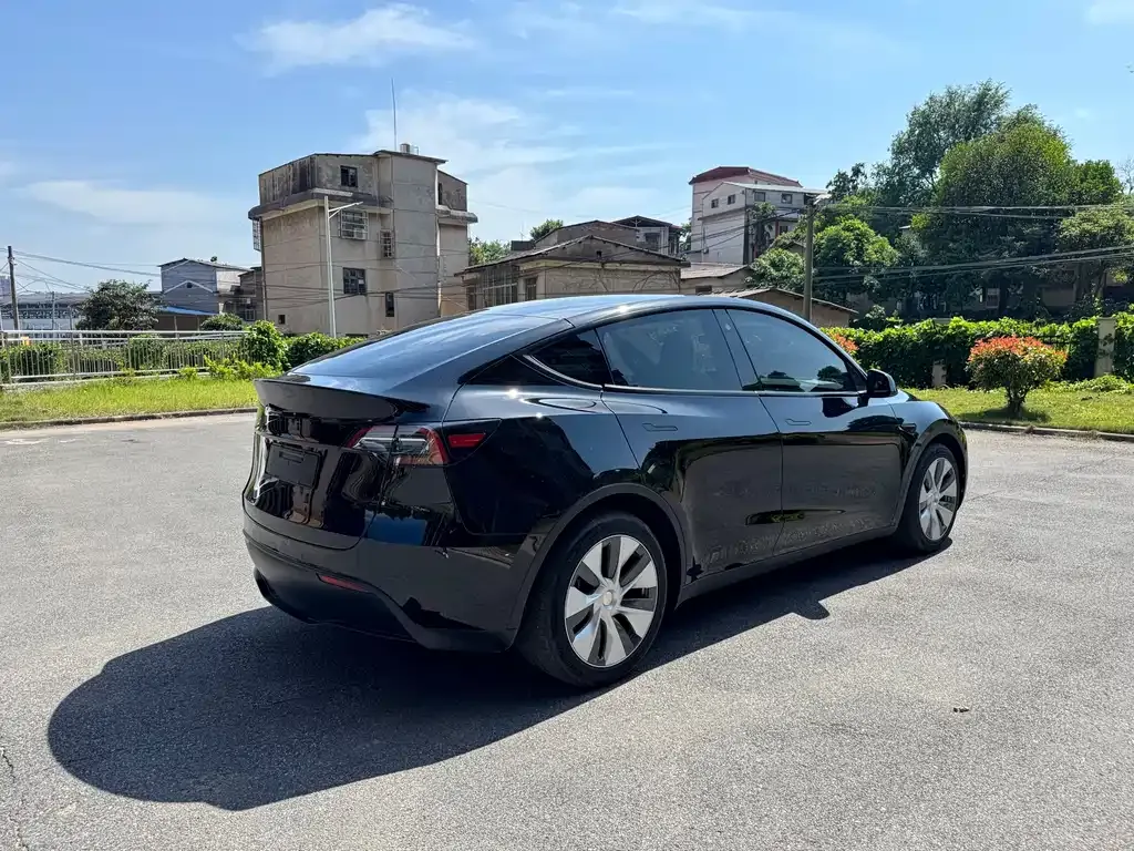 Tesla Model Y 2021 из CN, фото 9