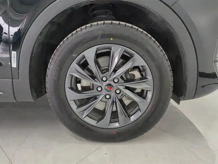 Hongqi HS5 2025 из CN, фото 6