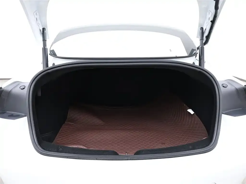 Tesla Model 3 2023 из CN, фото 6
