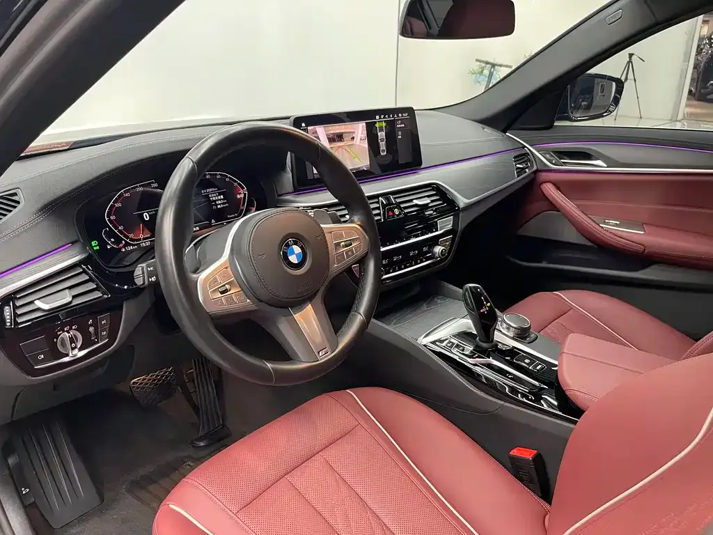 BMW 5 Series 2024 из CN, фото 10
