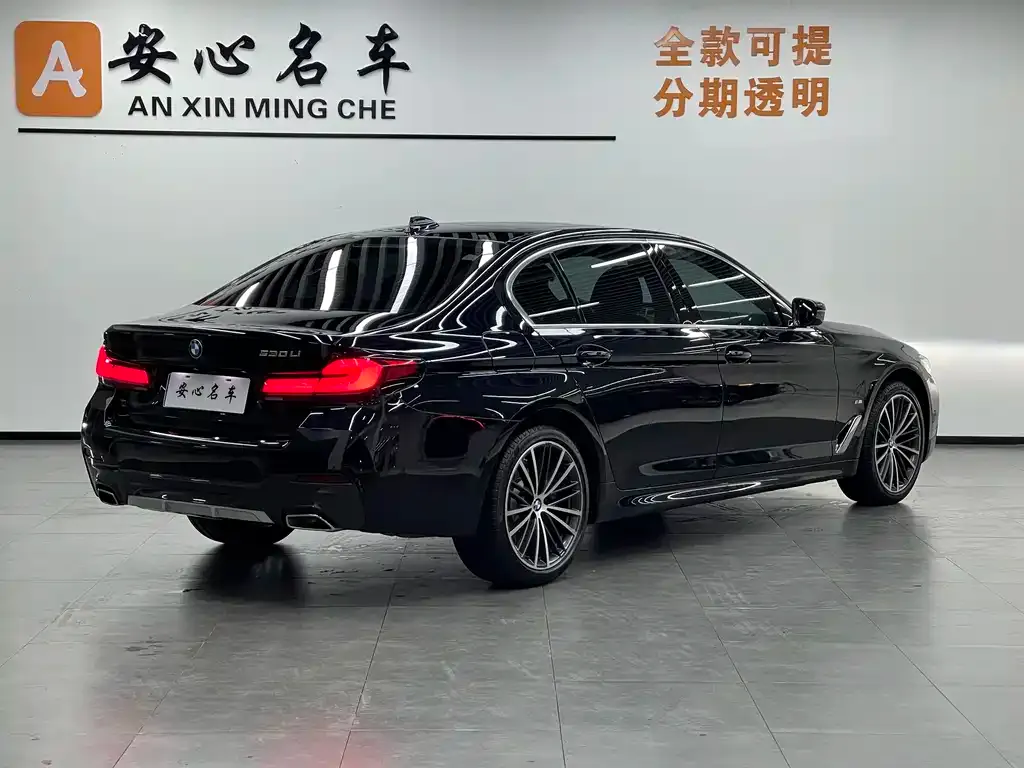 BMW 5 Series 2024 из CN, фото 3