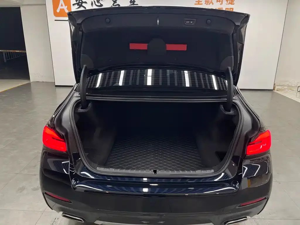 BMW 5 Series 2024 из CN, фото 5