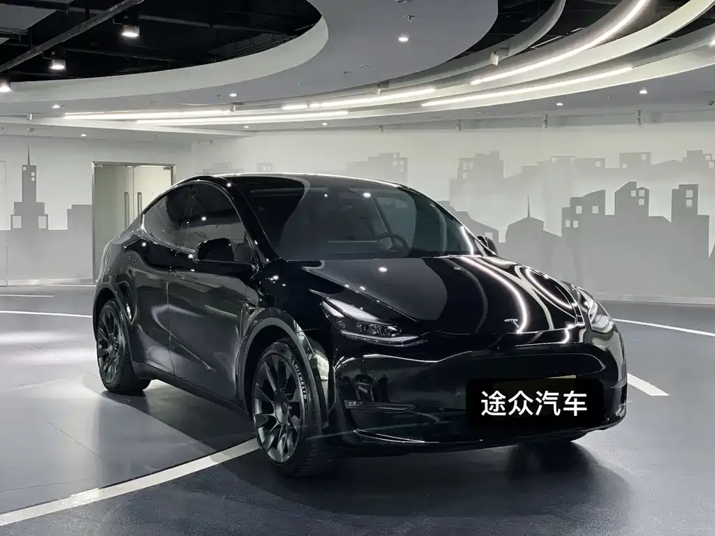 Tesla Model Y 2021 из CN, фото 3