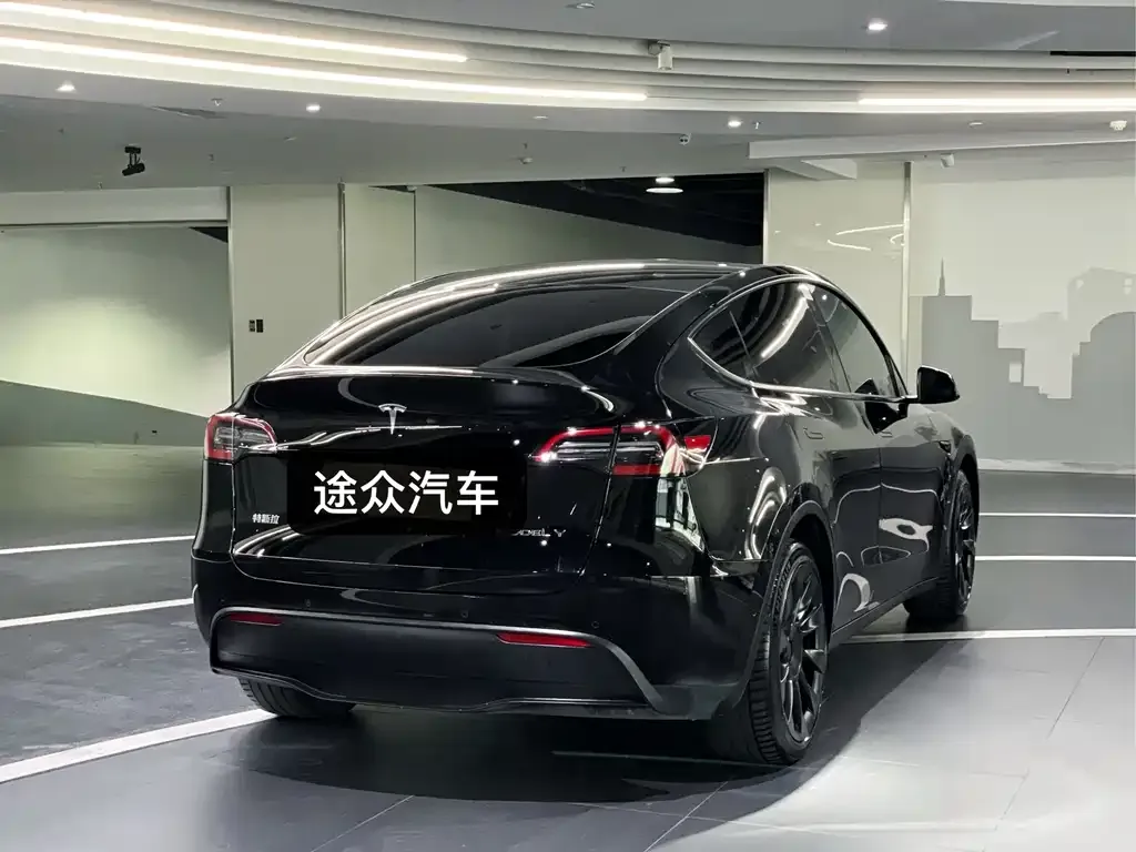 Tesla Model Y 2021 из CN, фото 4