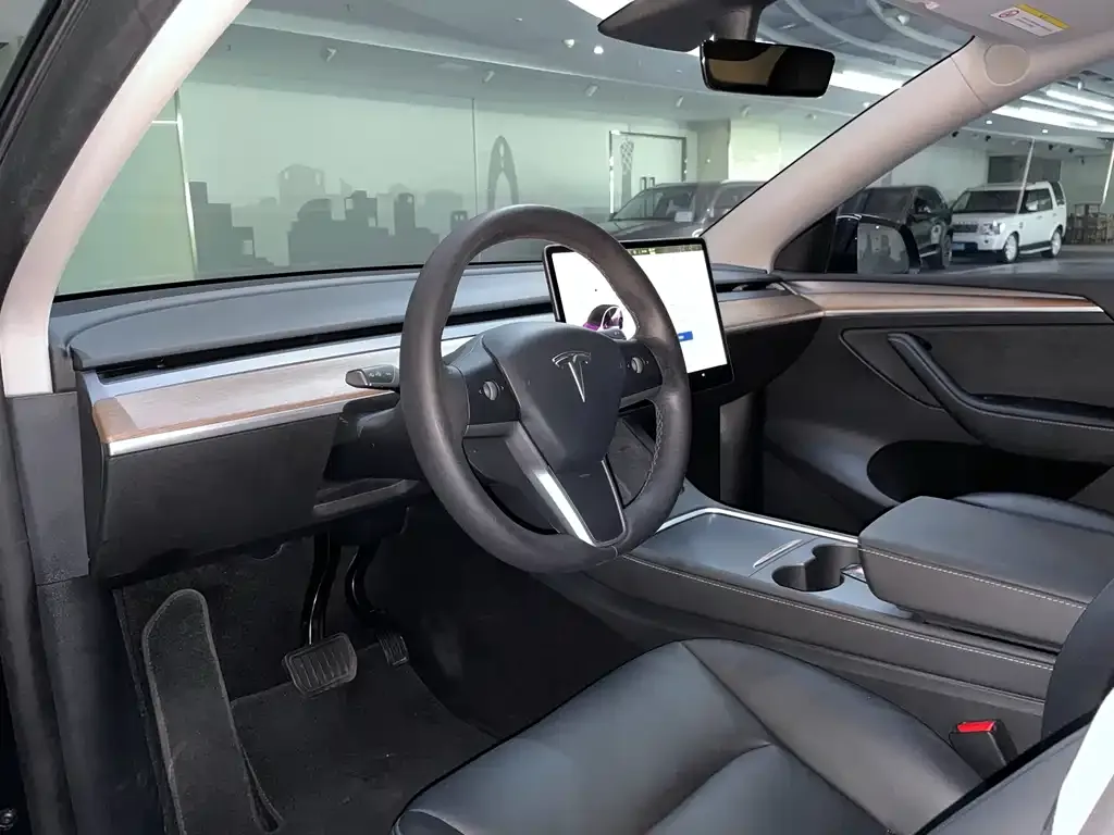 Tesla Model Y 2021 из CN, фото 7
