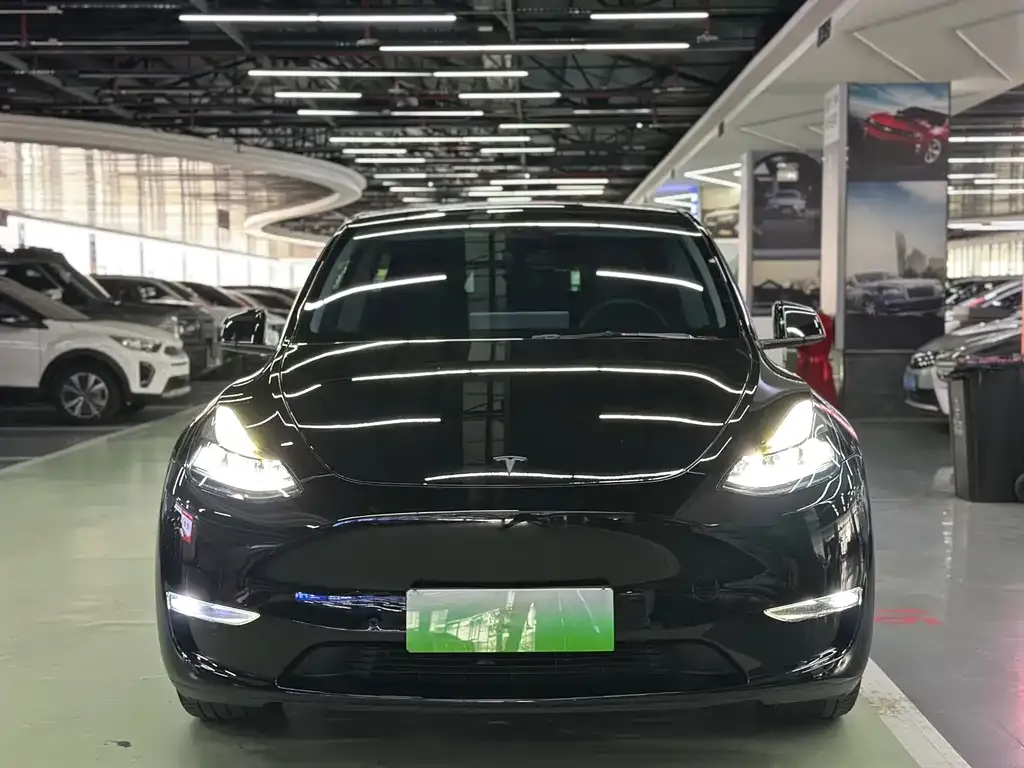 Tesla Model Y — фото 2