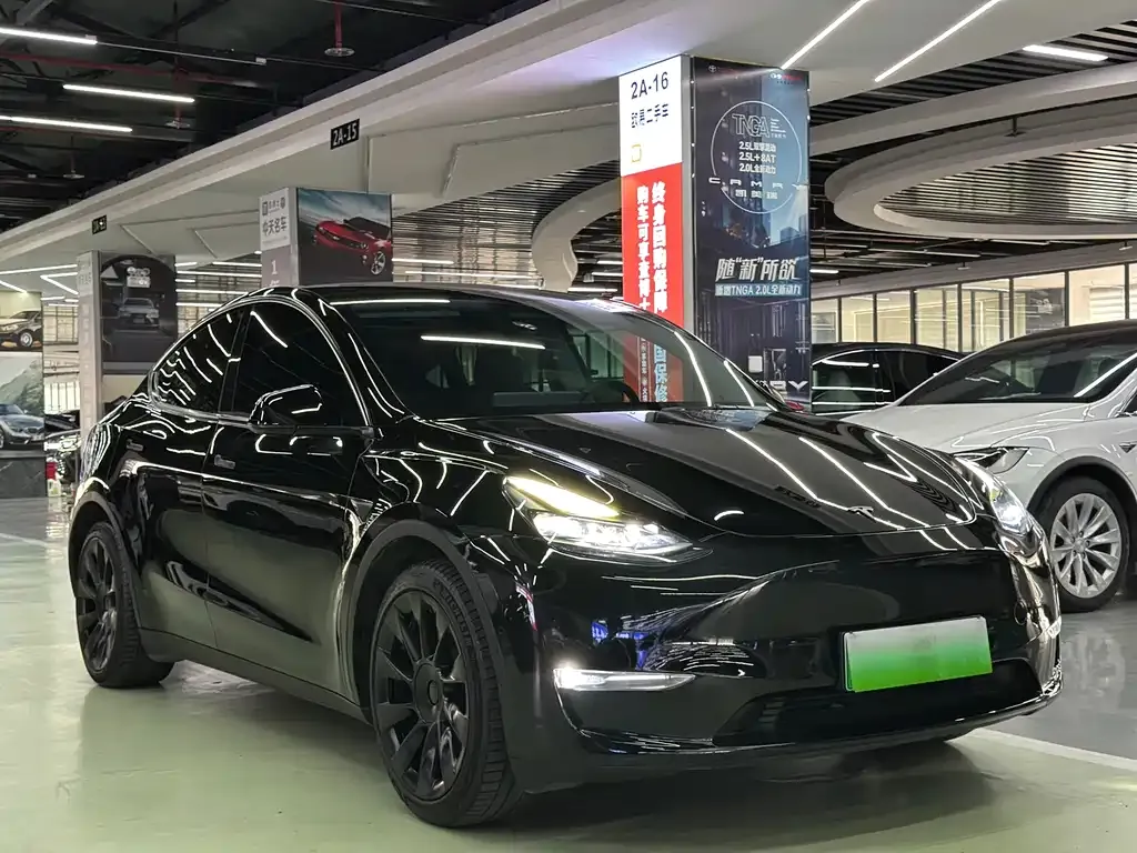 Tesla Model Y — фото 3