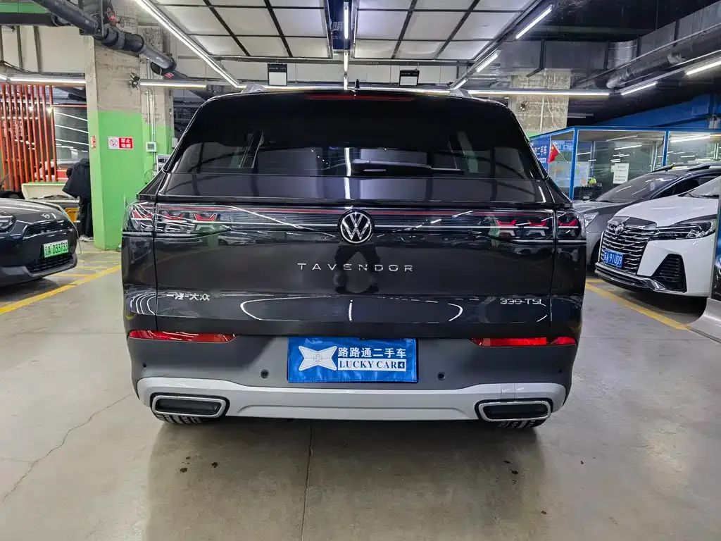 Volkswagen Tavendor 2025 из CN, фото 5