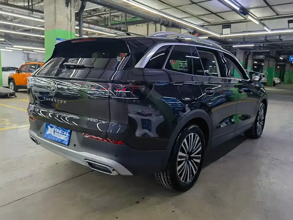 Volkswagen Tavendor 2025 из CN, фото 6