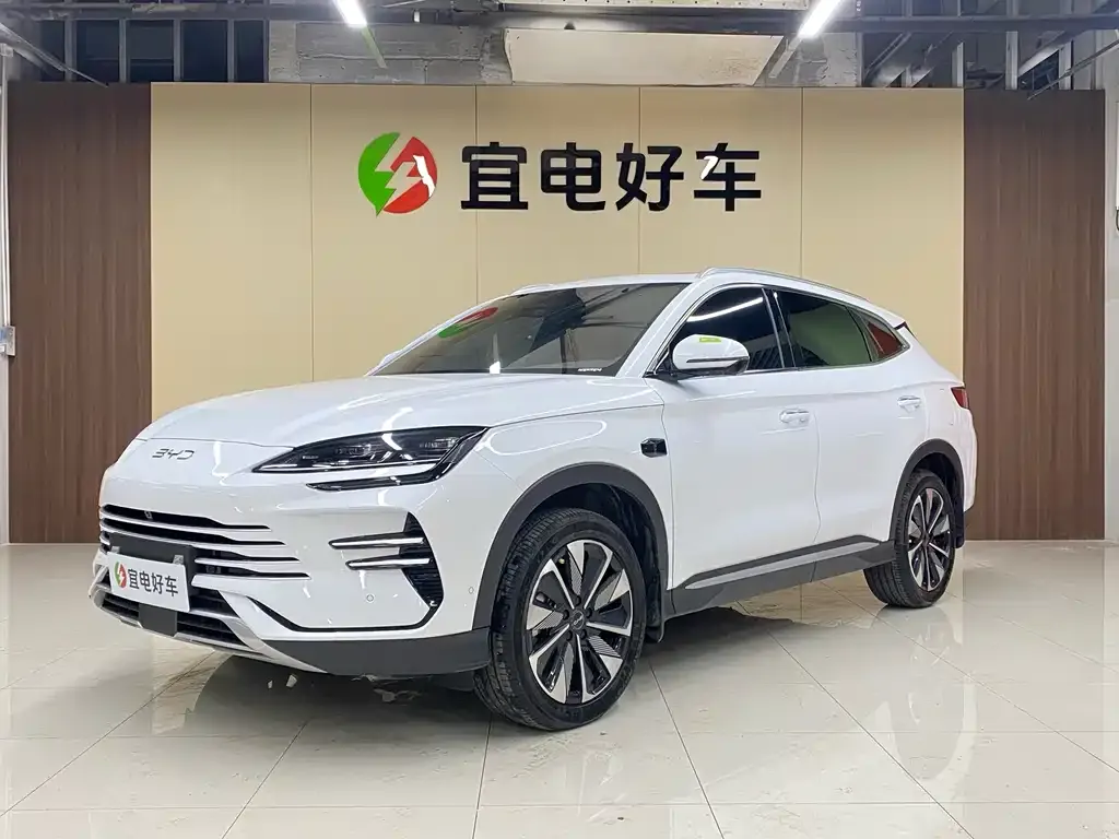BYD PLUS New Energy — фото 1