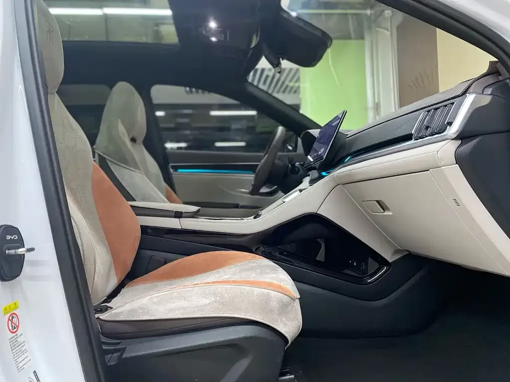 BYD PLUS New Energy — фото 10