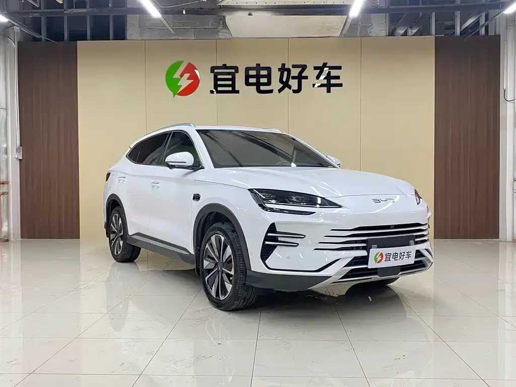 BYD PLUS New Energy — фото 3