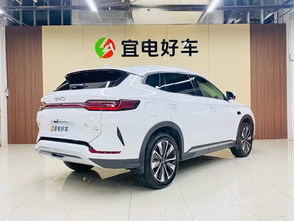 BYD PLUS New Energy — фото 6