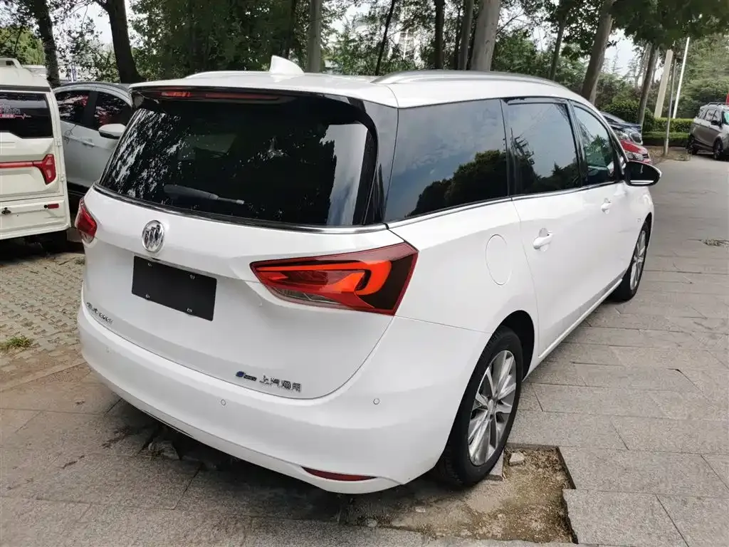 Buick GL6 2022 из CN, фото 7