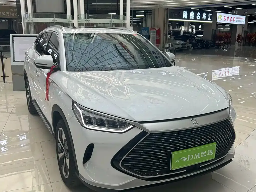 BYD PLUS New Energy — фото 1